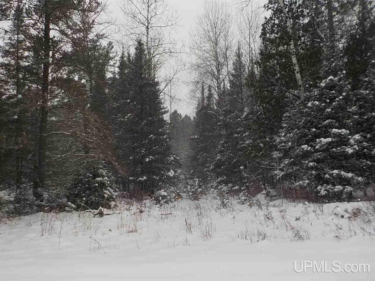 7 Ac /- Rock Crusher Road Crystal Falls, MI 49920 - Photo 8 of 10