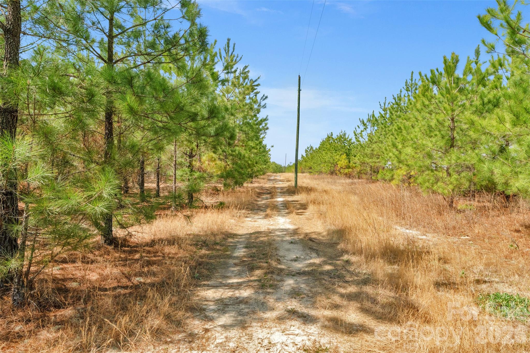 931 Charlie Johnson Road, Unit 9 Kershaw, SC 29067 - Photo 12 of 32 Gallery Image 12