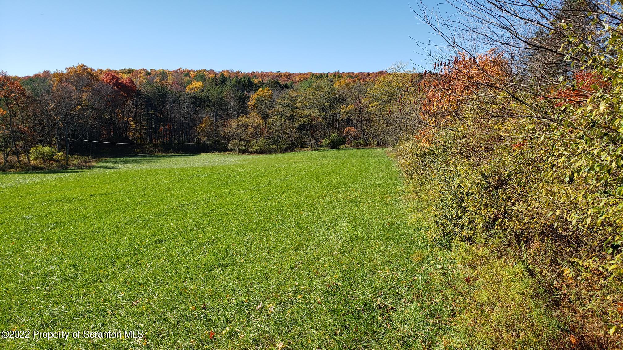 118 Tubbs Hill Road Benton, PA 17814 - Photo 8 of 12 a view of a yard with a tree