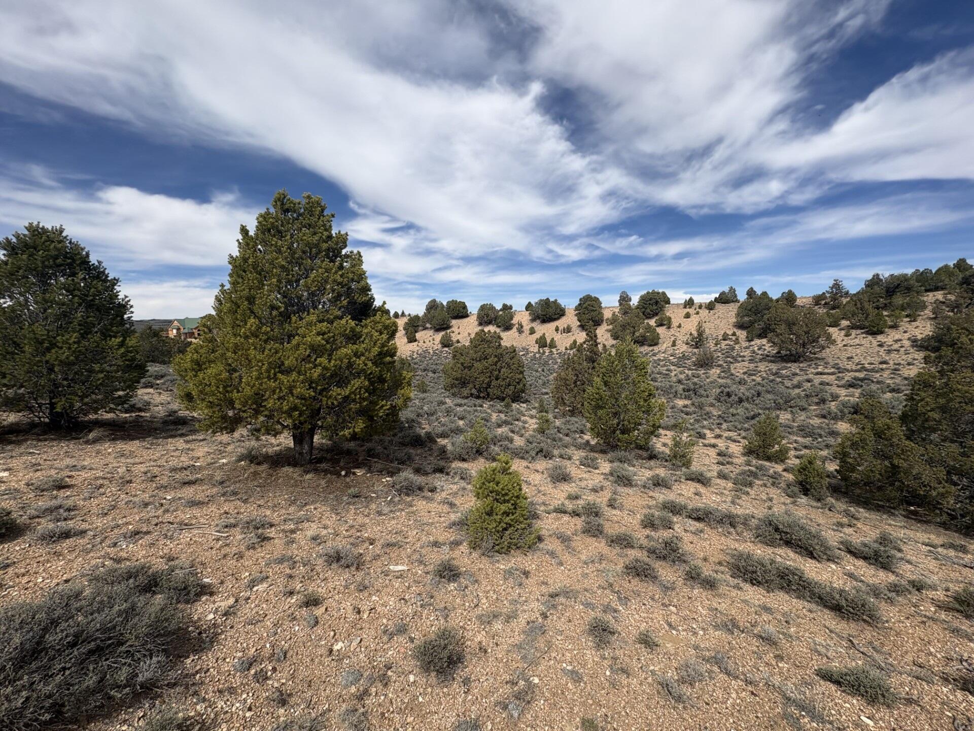 1795 Eagle Ridge Circle Hatch, UT 84735 - Photo 6 of 8 cf499577-b3b7-41c9-9eea-367a0db2b11d