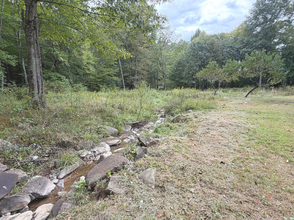 1169 Will Dodd Road Jumping Branch, WV 25969 - Photo 37 of 40 Gallery Image 37