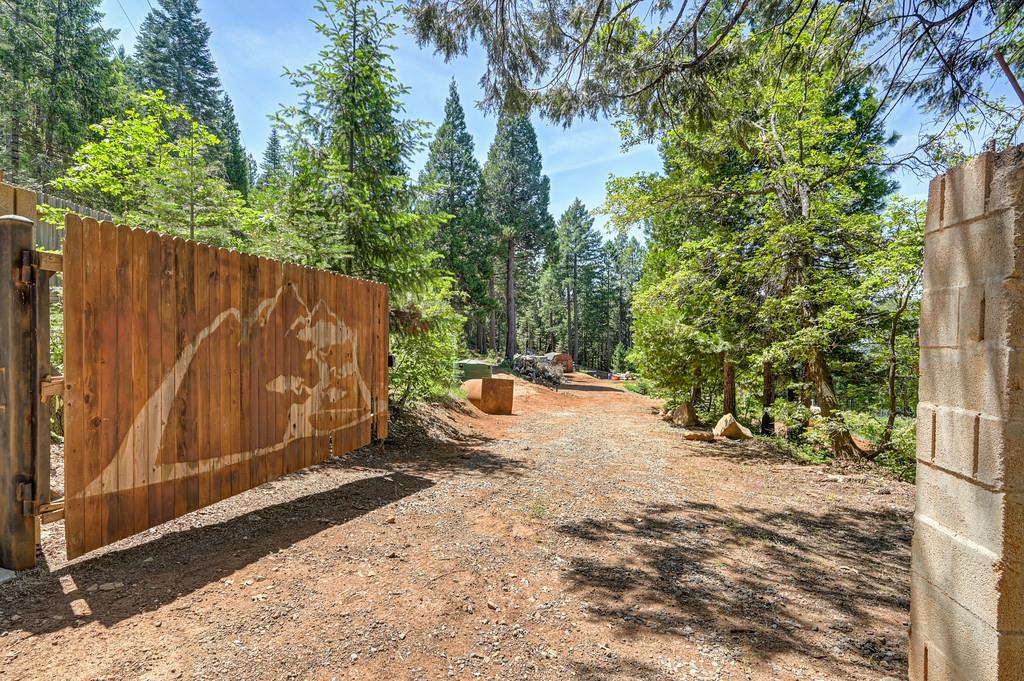 1050 Moody Ridge Road Alta, CA 95701 - Photo 6 of 77