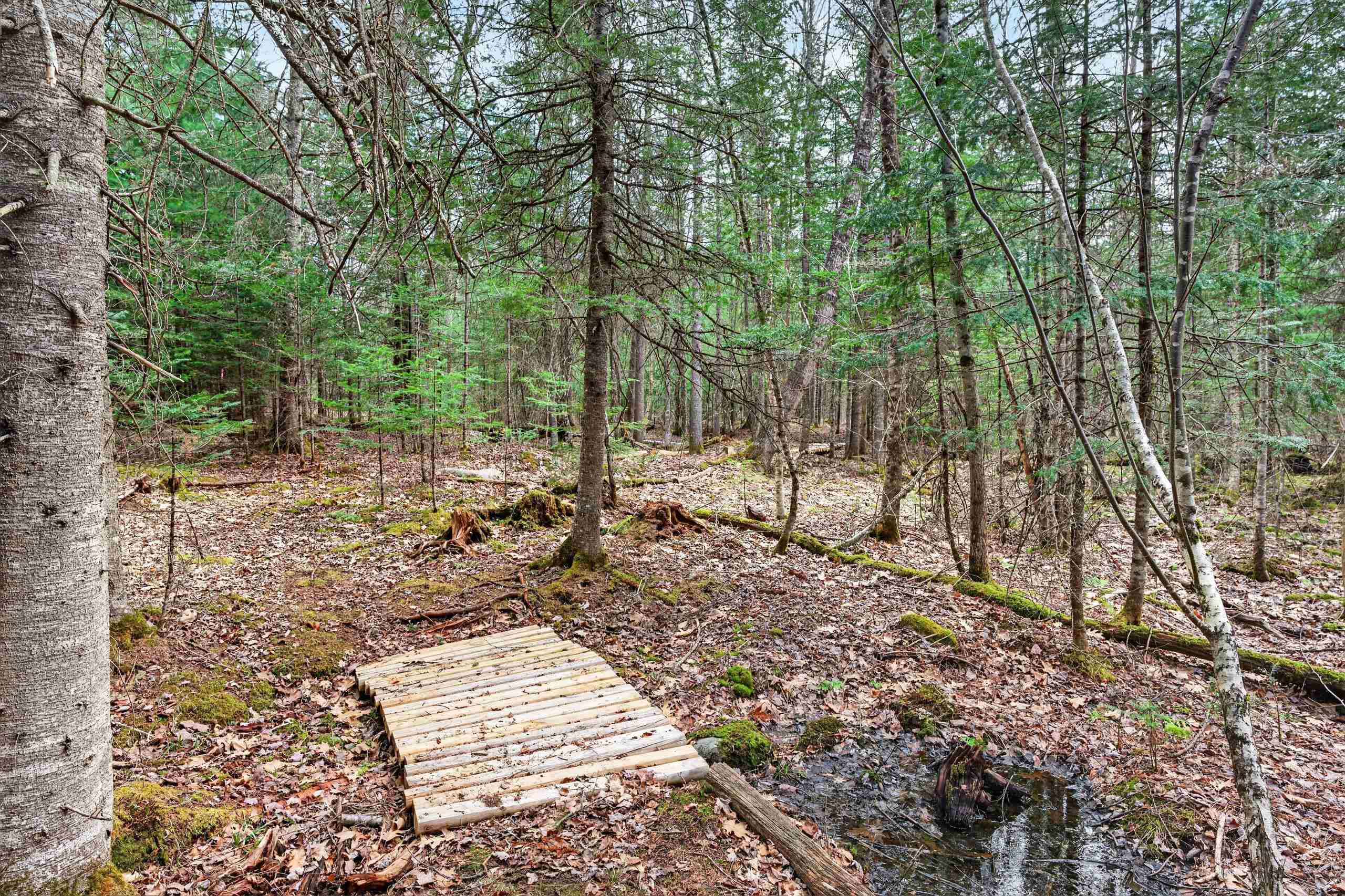10 Mount Lafayette Way Bethlehem, NH 03574 - Photo 47 of 59
