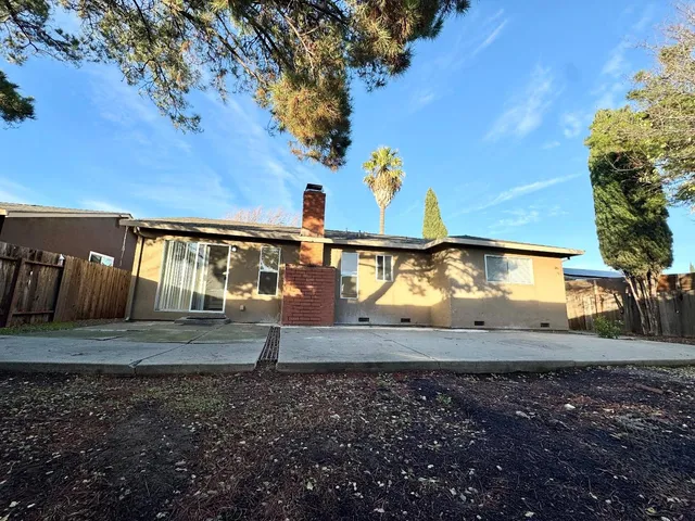 a view of backyard with tree