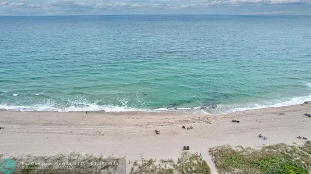 a view of a road with plants and large trees