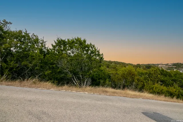 a view of a yard with plants and a trees