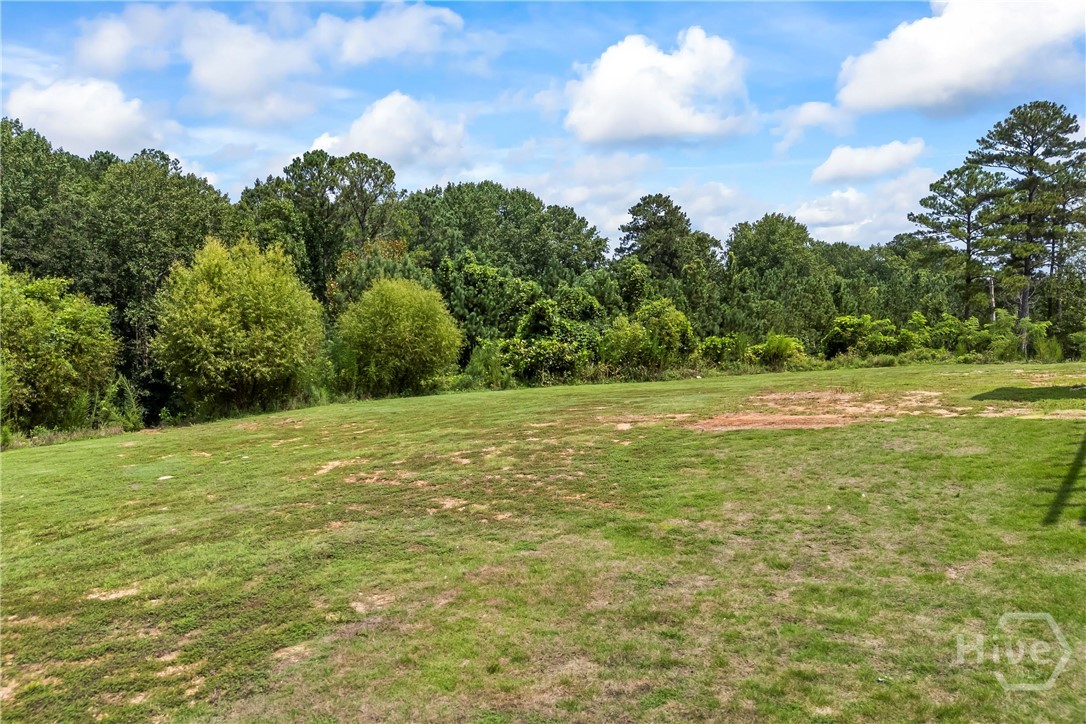 1508 Ridgewood Court Monroe, GA 30656 - Photo 15 of 67