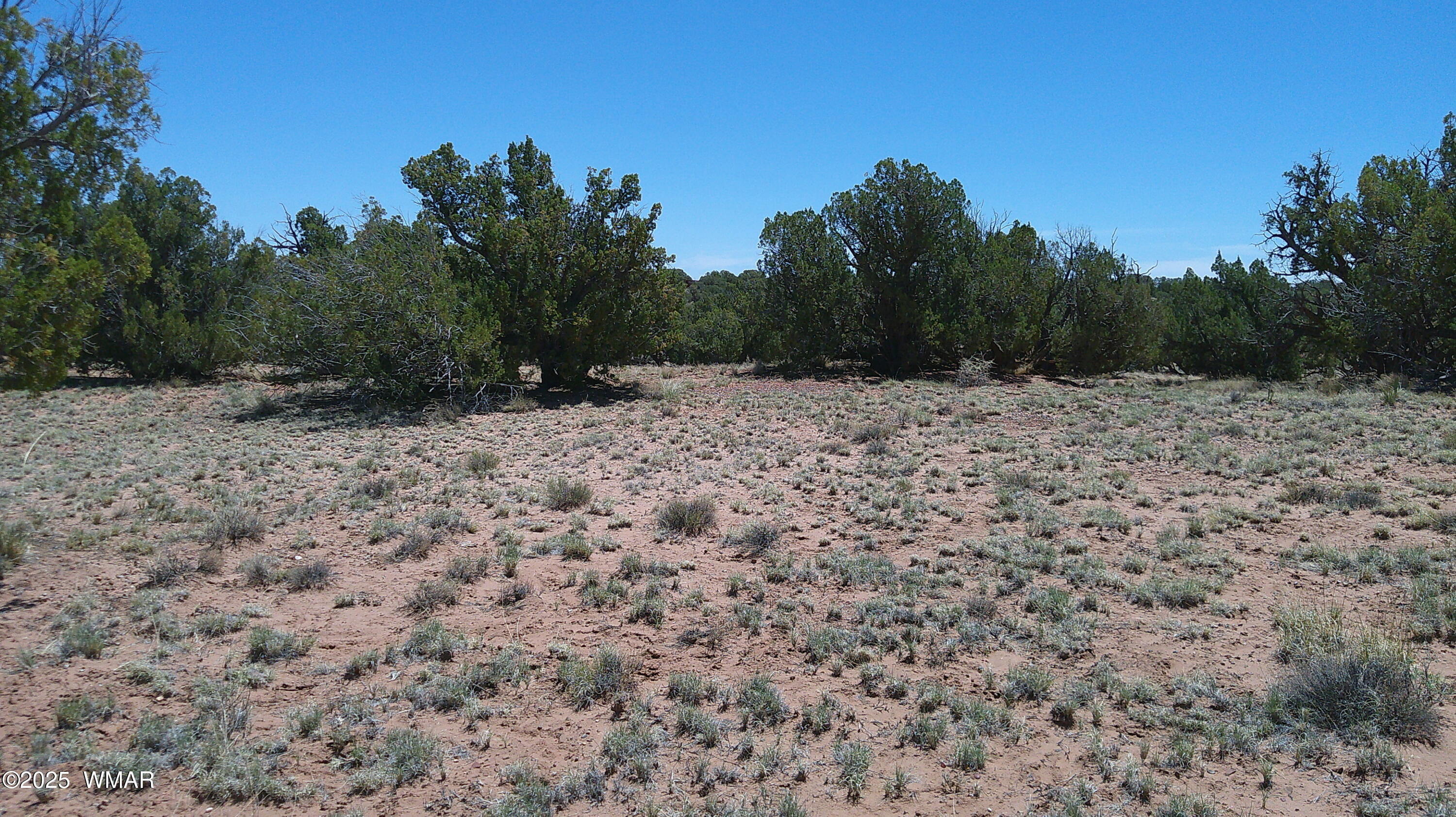 Tbd Tbd Rio Ranch Concho, AZ 85924 - Photo 1 of 44 Primary