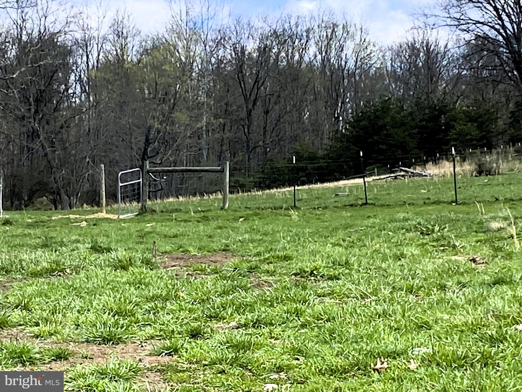 15915 Williams Road Southeast Cumberland, MD 21502 - Photo 11 of 59