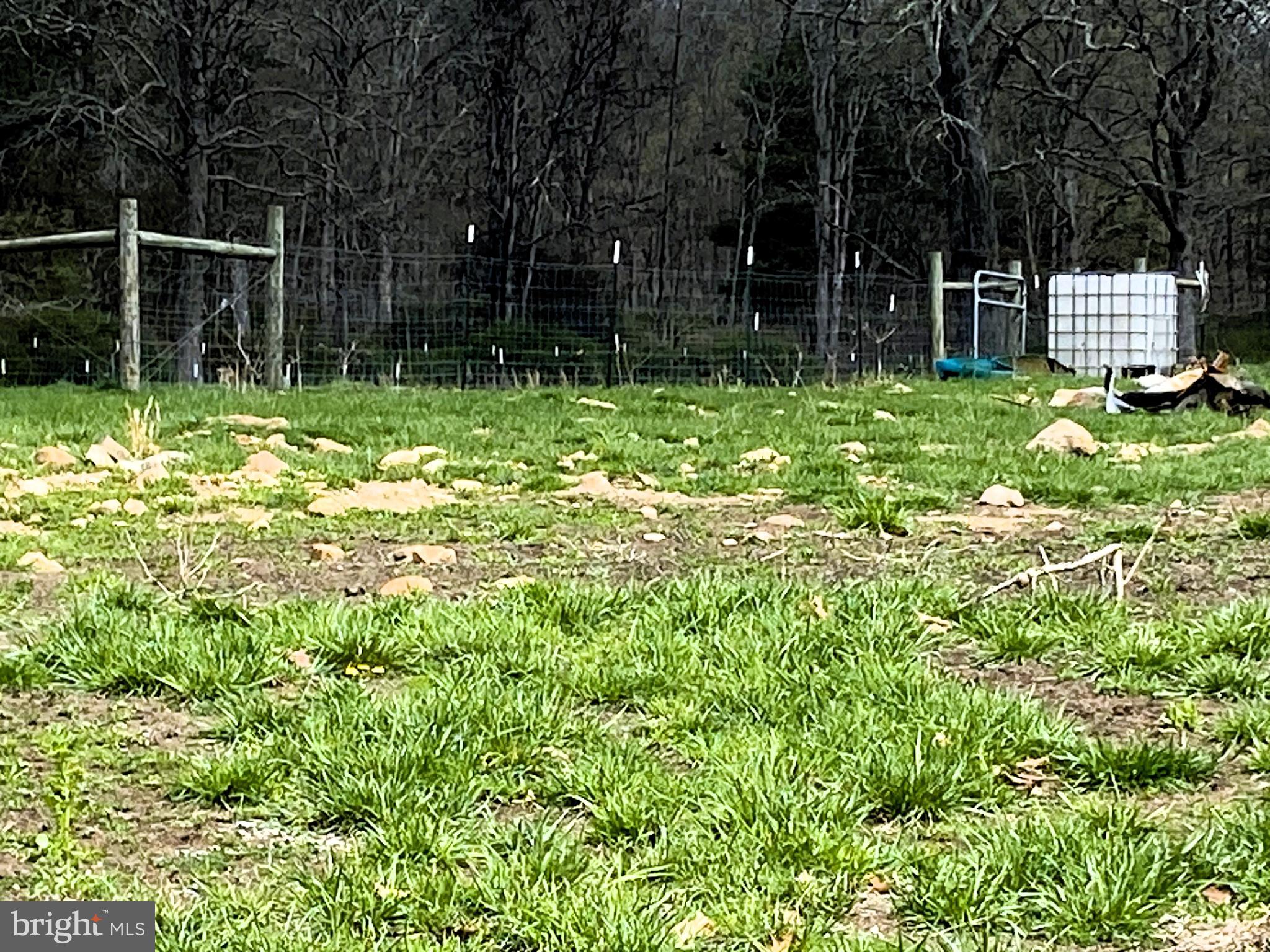 15915 Williams Road Southeast Cumberland, MD 21502 - Photo 12 of 59