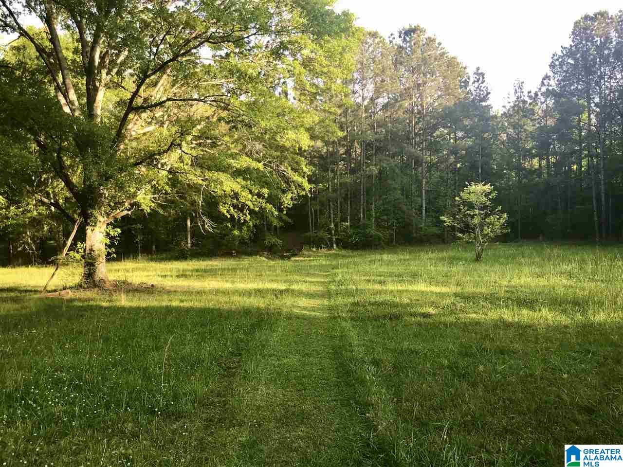 2607 Highway 20 Calera, AL 35040 - Photo 5 of 28