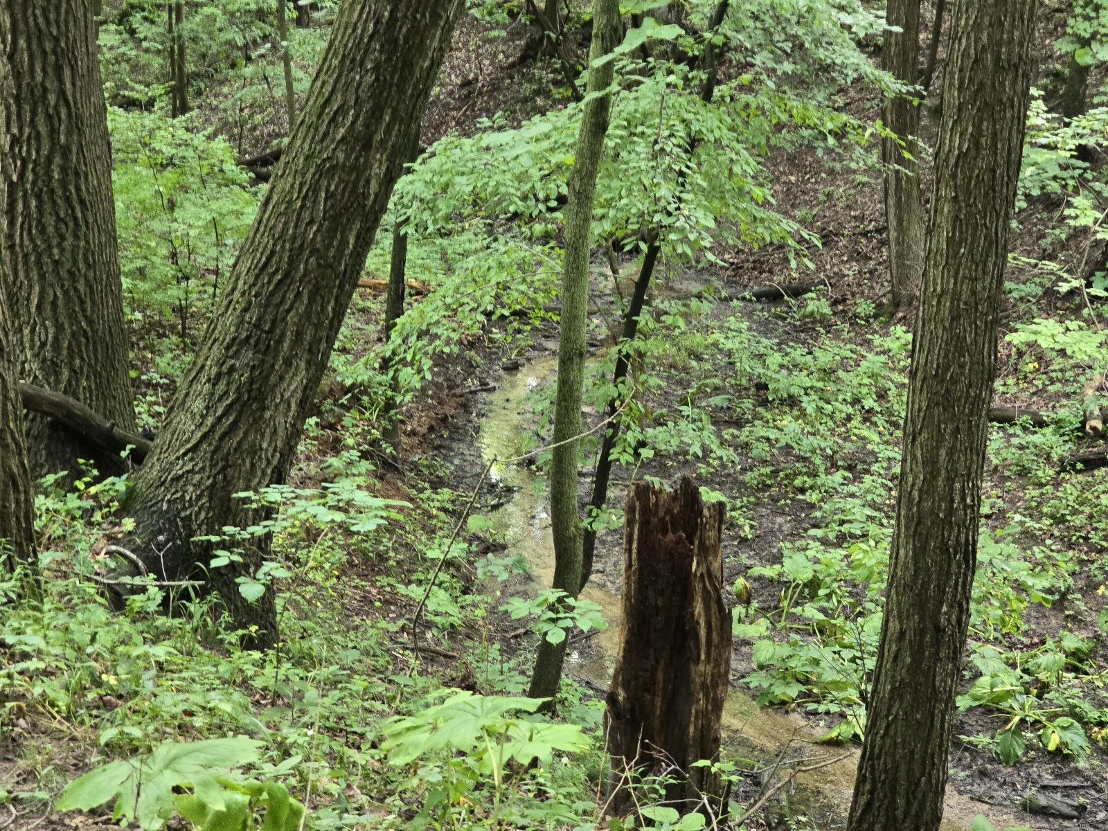 Vl Lehring Road Bancroft, MI 48414 - Photo 8 of 27