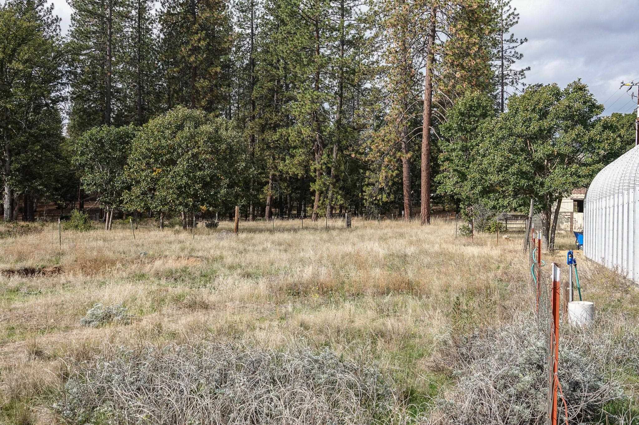 5402 Scott River Road Fort Jones, CA 96032 - Photo 22 of 28 Gallery Image 22
