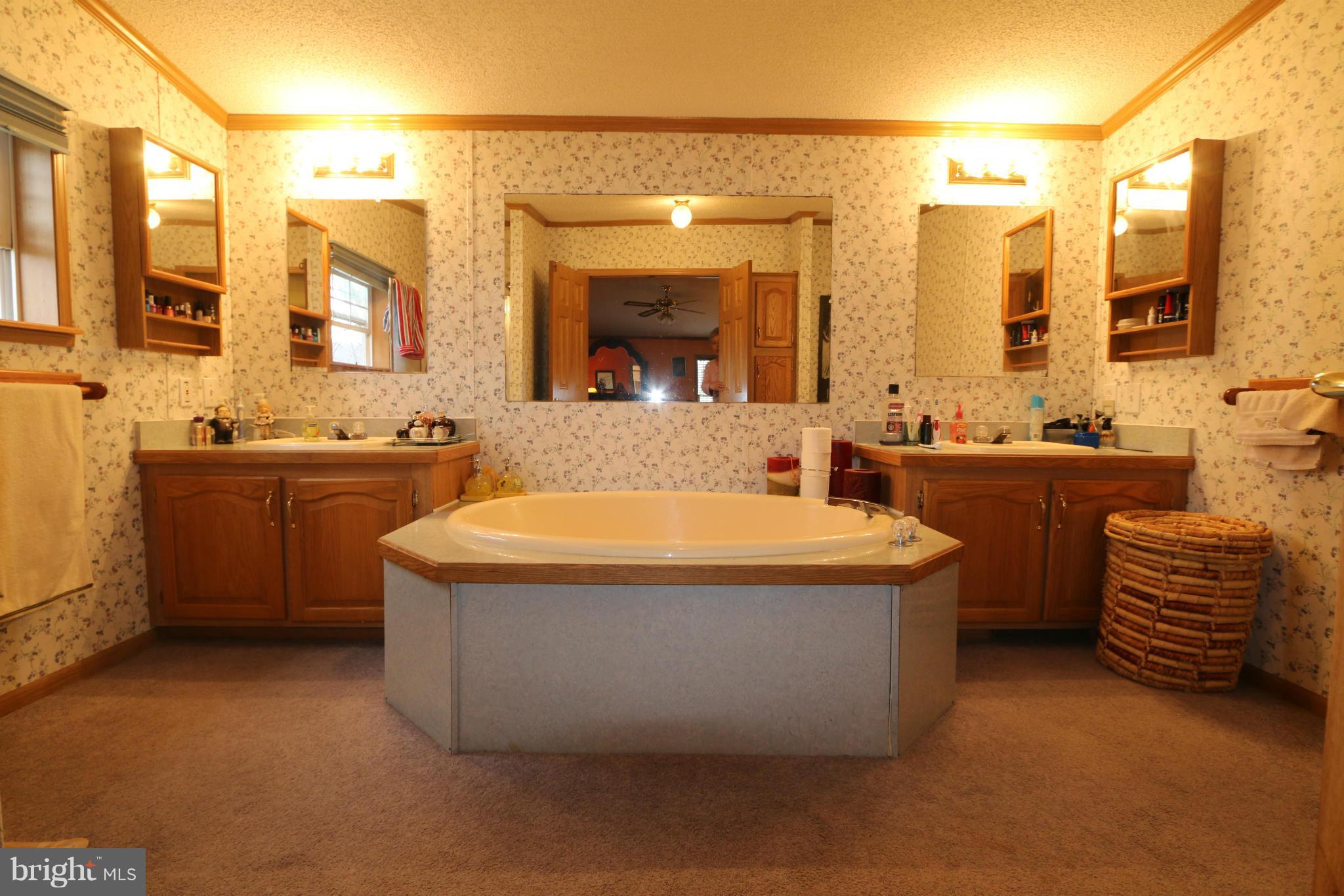 24709 Raven Rock Road Smithsburg, MD 21783 - Photo 12 of 20 a spacious bathroom with a tub sink and mirror
