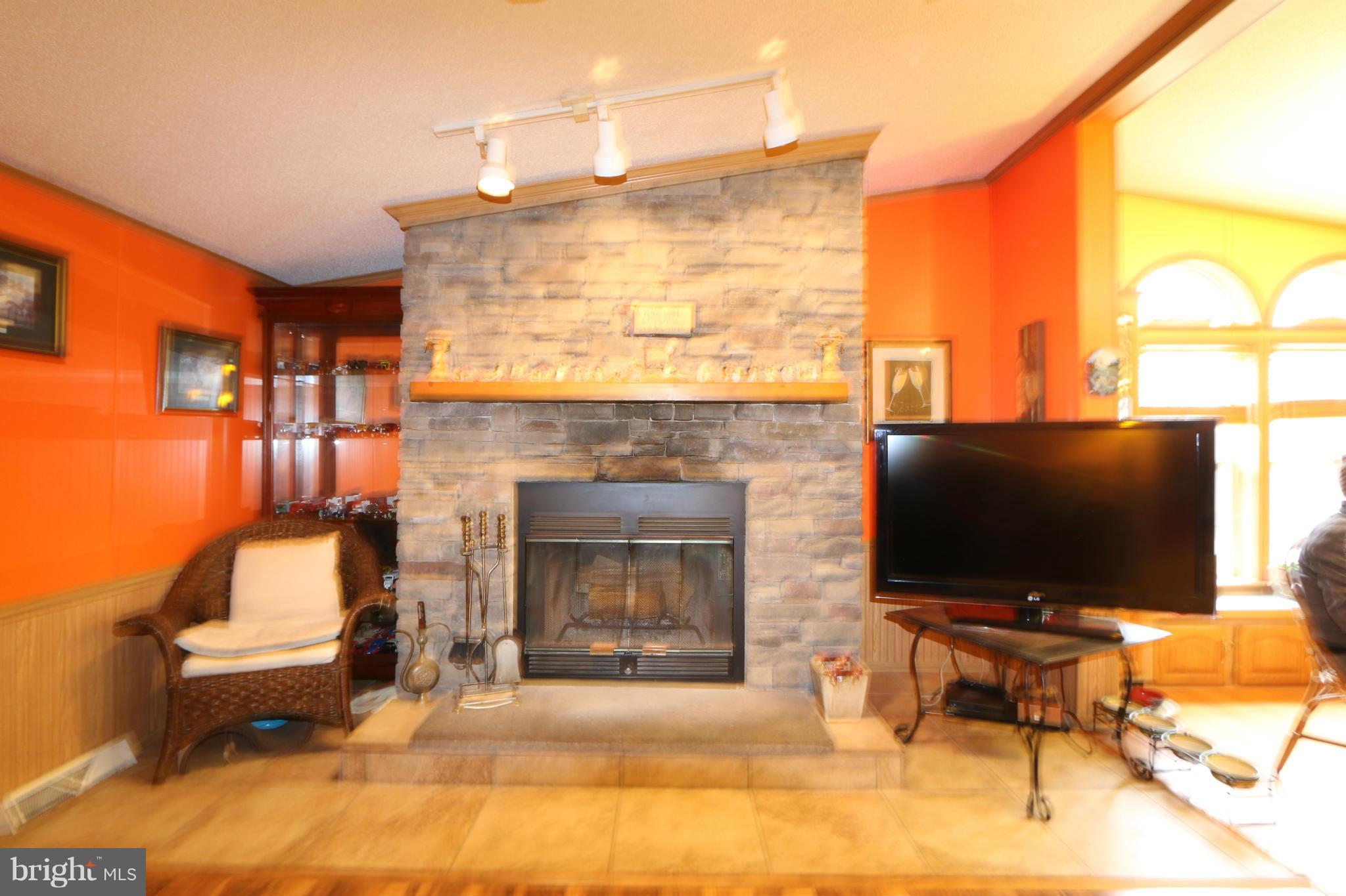24709 Raven Rock Road Smithsburg, MD 21783 - Photo 9 of 20 a living room with furniture a flat screen tv and a fireplace