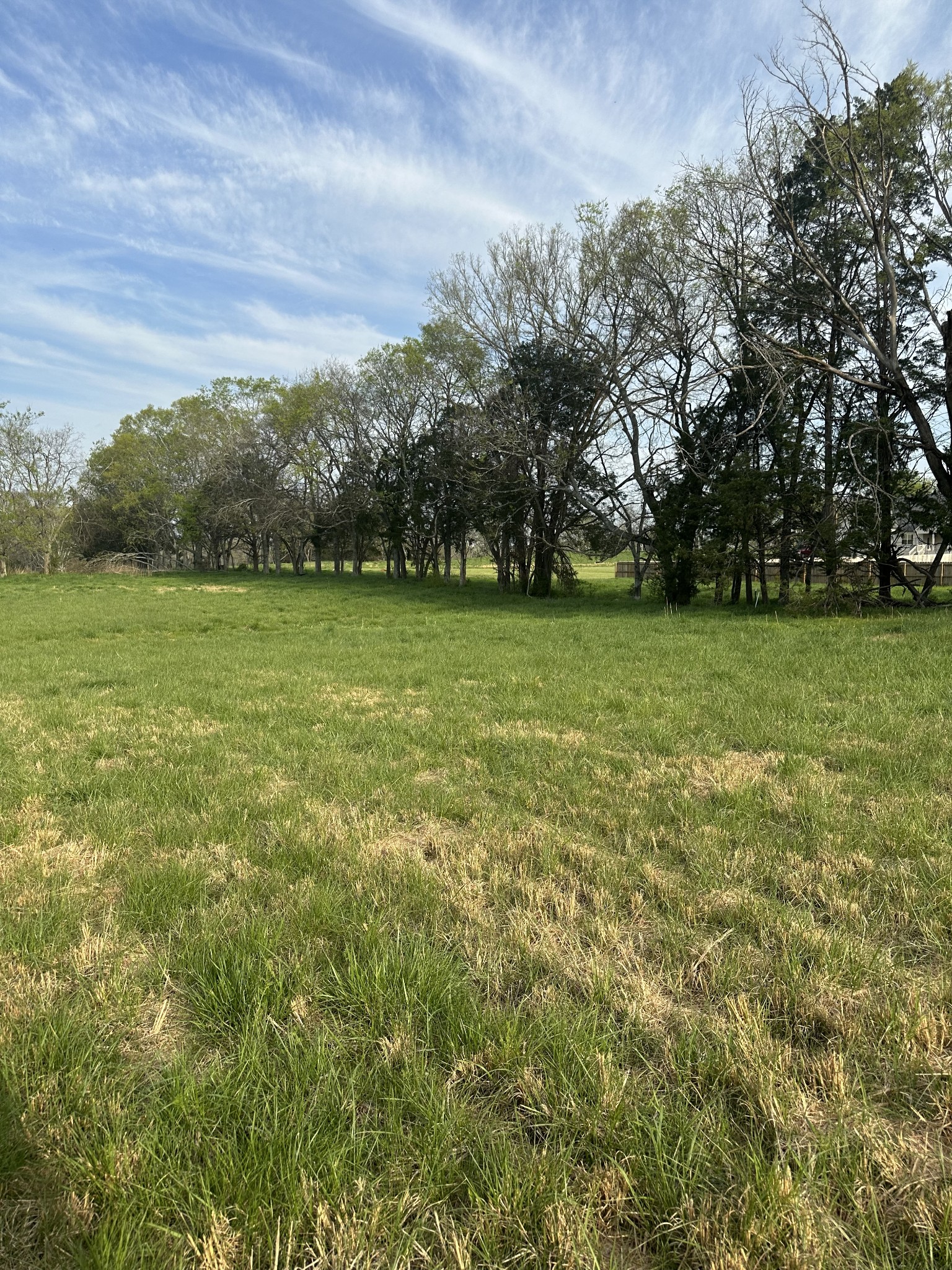 0 Hamilton Chambers Road Lebanon, TN 37087 - Photo 1 of 3