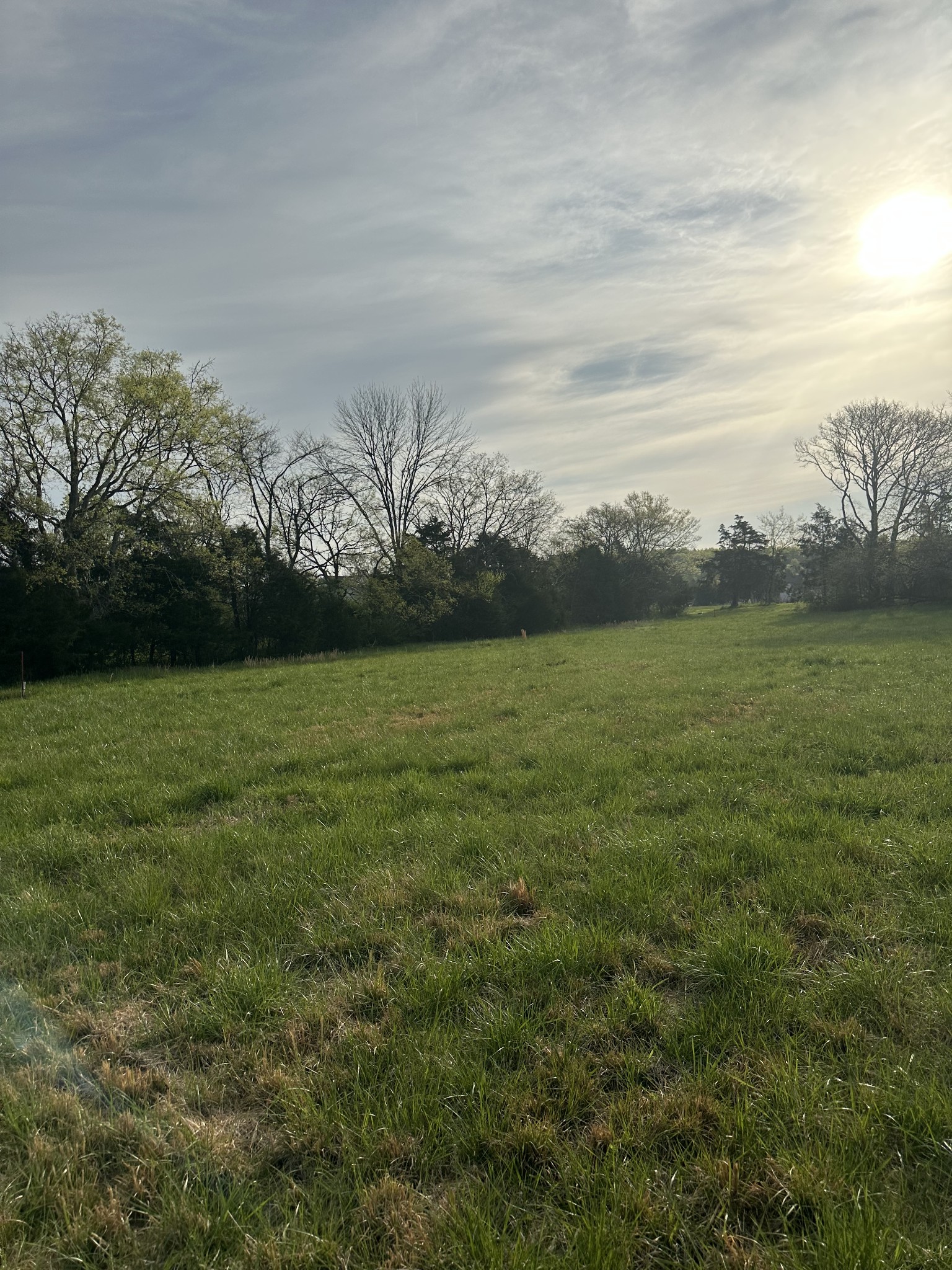 0 Hamilton Chambers Road Lebanon, TN 37087 - Photo 2 of 3