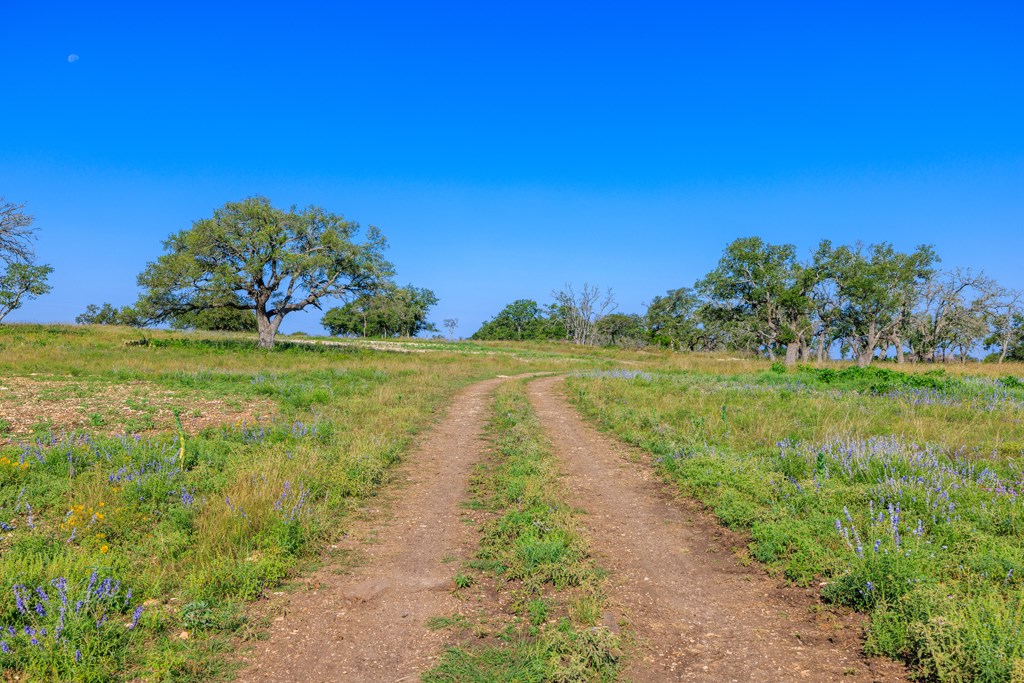481 Living Water Ranch Road Harper, TX 78631 - Photo 11 of 24