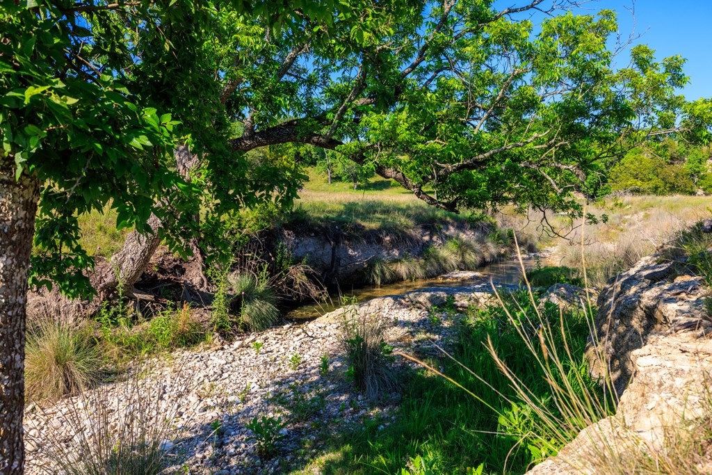 481 Living Water Ranch Road Harper, TX 78631 - Photo 16 of 24