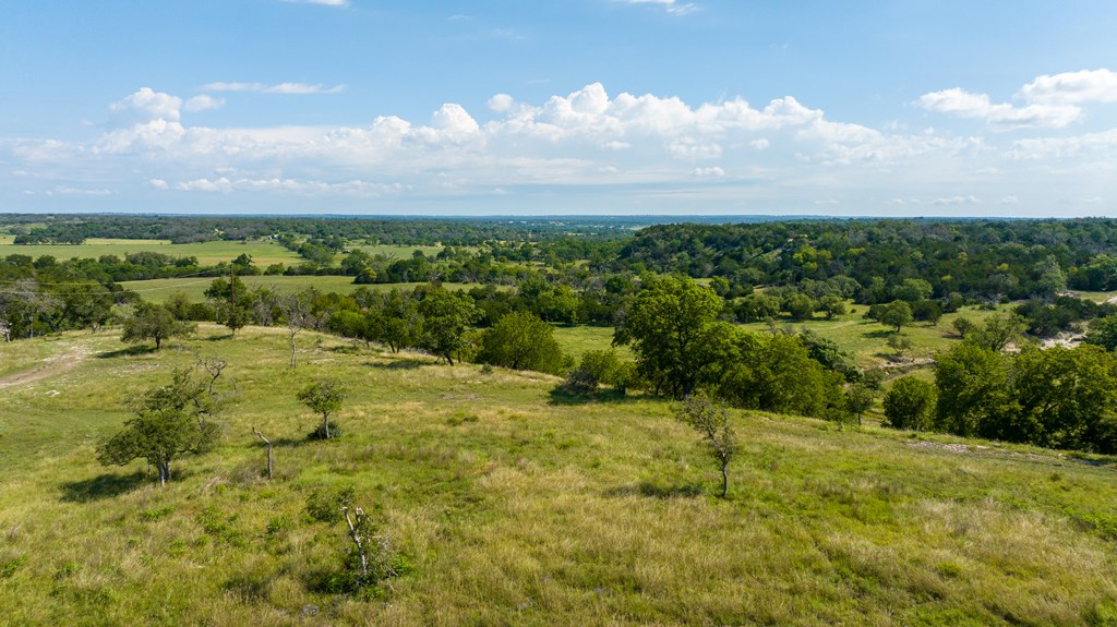 481 Living Water Ranch Road Harper, TX 78631 - Photo 20 of 24