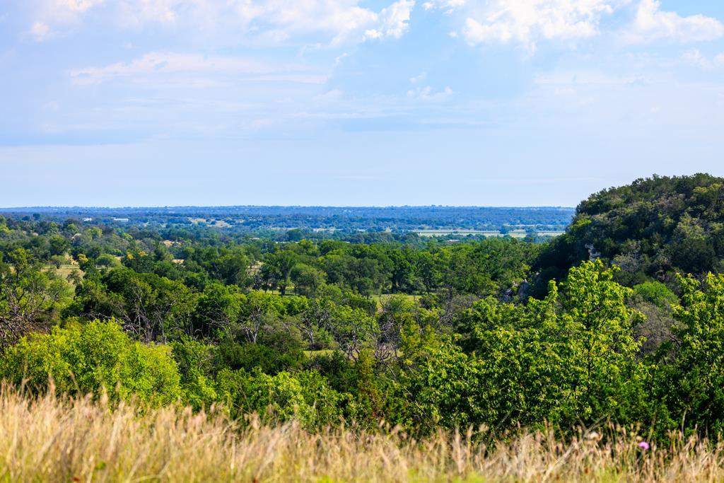 481 Living Water Ranch Road Harper, TX 78631 - Photo 2 of 24