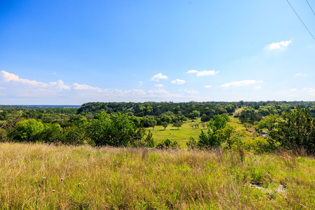 481 Living Water Ranch Road Harper, TX 78631 - Photo 4 of 24