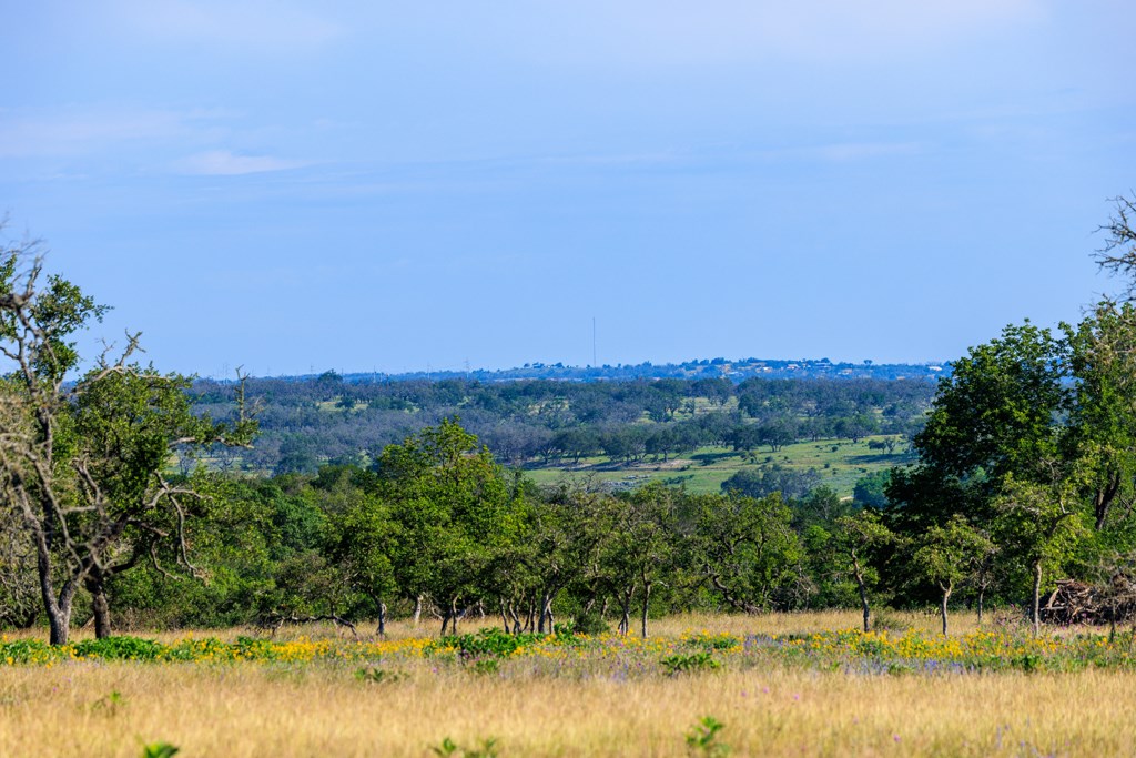 481 Living Water Ranch Road Harper, TX 78631 - Photo 6 of 24