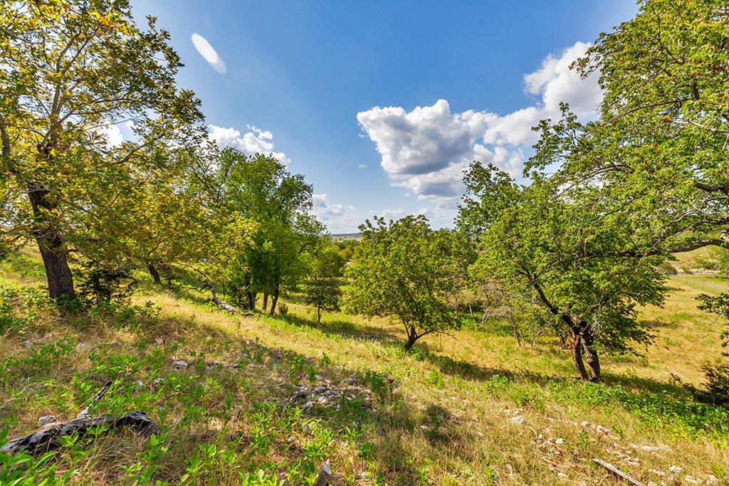 481 Living Water Ranch Road Harper, TX 78631 - Photo 7 of 24