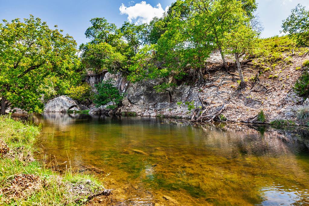 481 Living Water Ranch Road Harper, TX 78631 - Photo 10 of 24