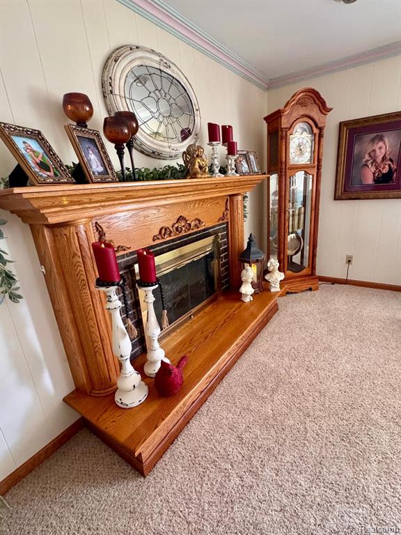 6686 Schott Road Mayville, MI 48744 - Photo 10 of 25
