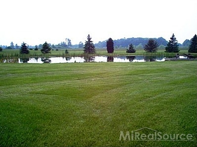 5580 Marsh Road East China, MI 48054 - Photo 4 of 27 fully stocked pond