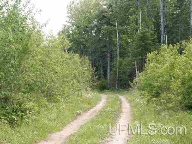 Tbd Off Floodwood Road Republic, MI 49879 - Photo 12 of 15