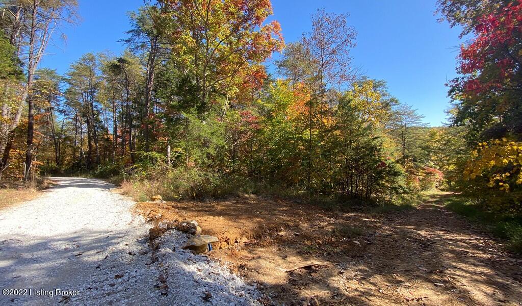 L60 Ted Logsdon Road Clarkson, KY 42726 - Photo 1 of 6 River View Fall2