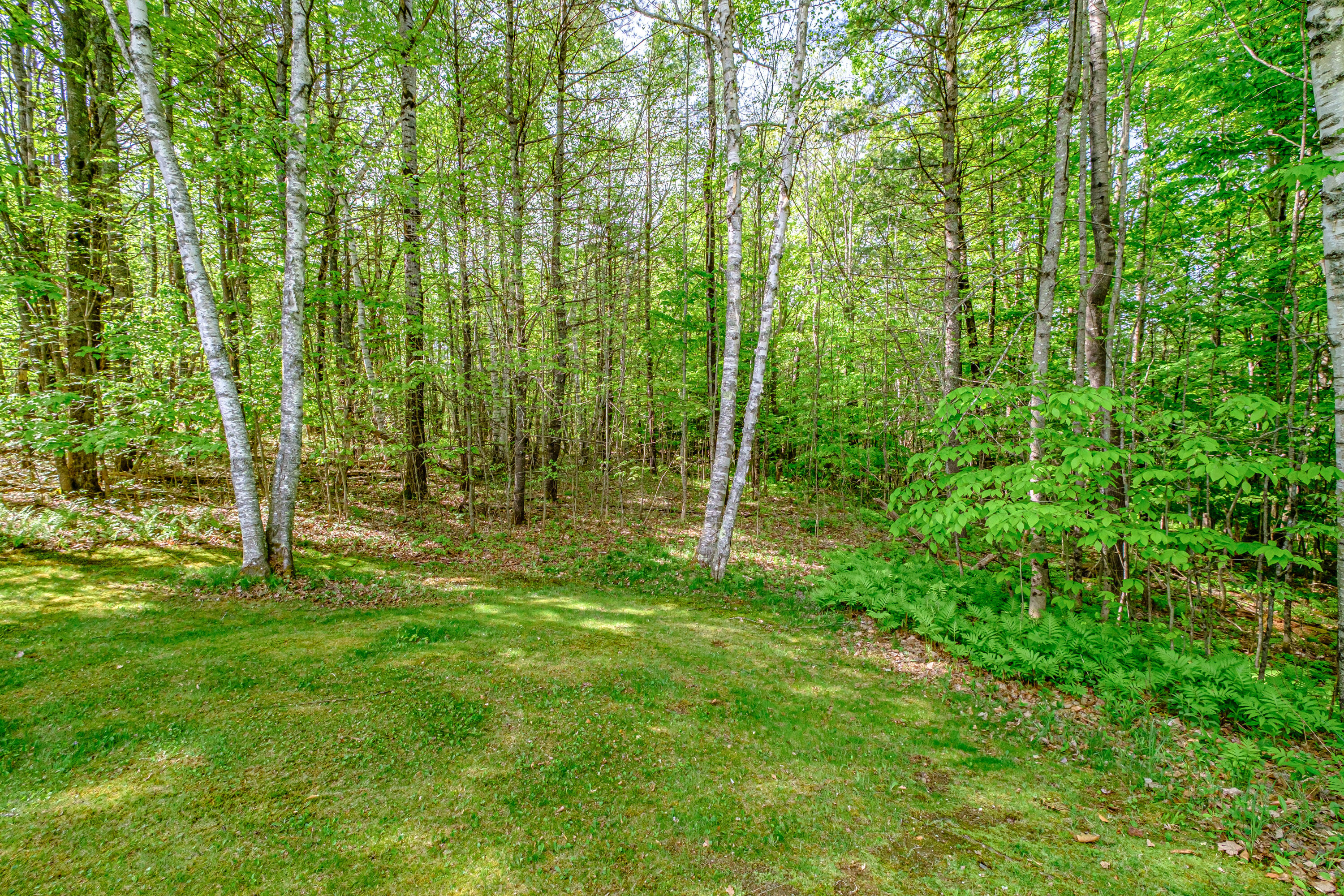 263 Paris Hill Road Paris, ME 04281 - Photo 47 of 82 20240521gp-60071