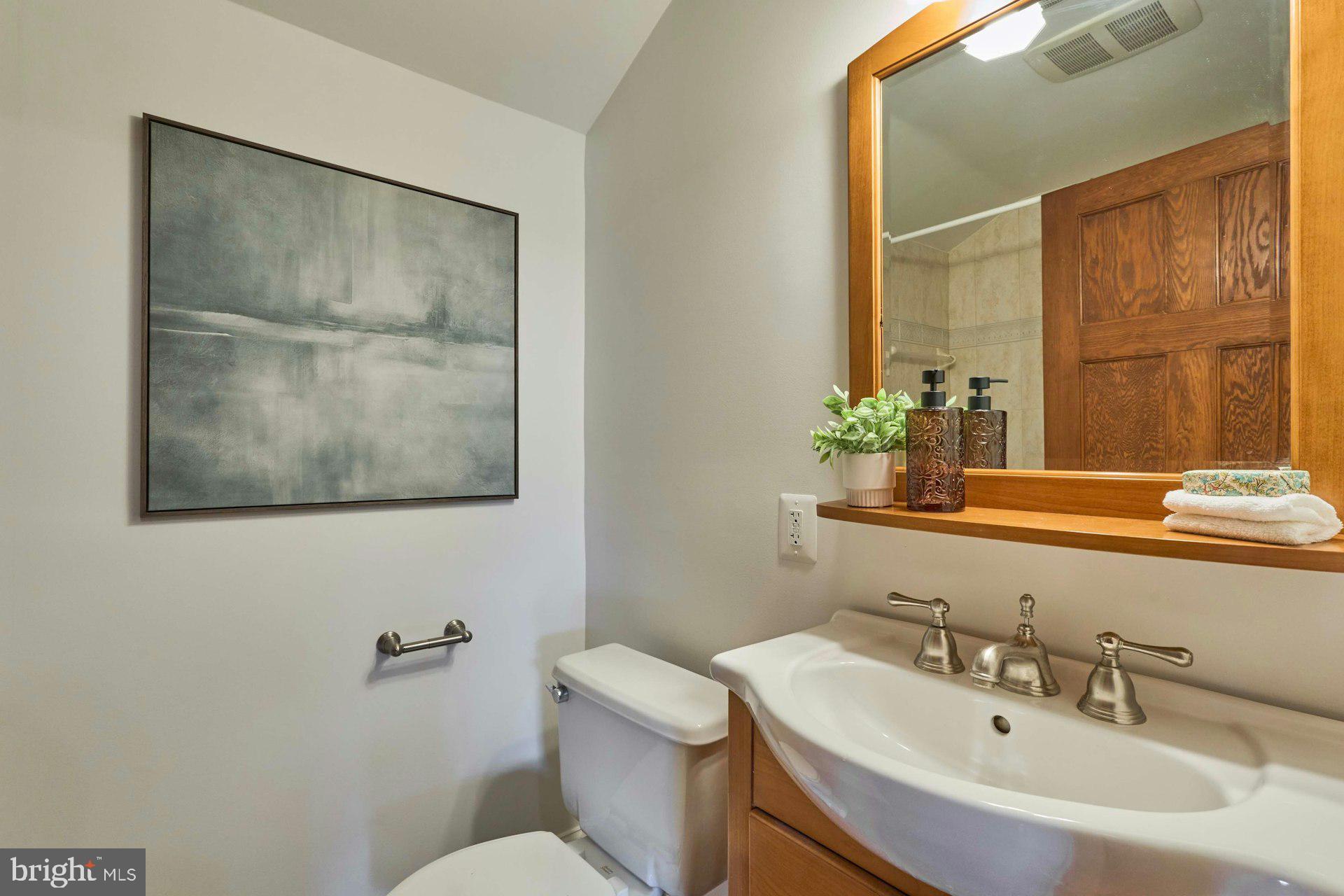 6586 Braddock Road Alexandria, VA 22312 - Photo 37 of 57 Hall Bathroom