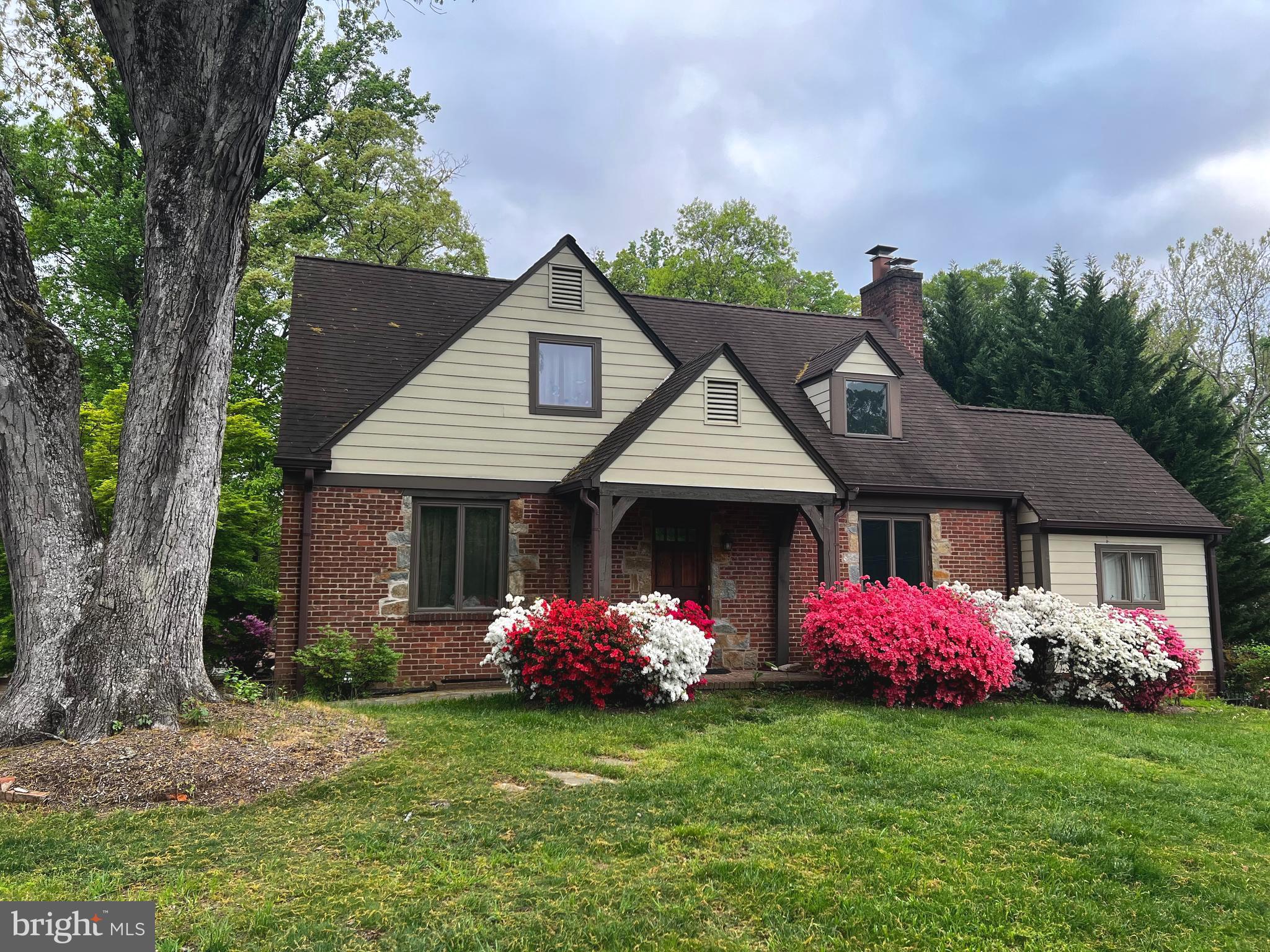 6586 Braddock Road Alexandria, VA 22312 - Photo 4 of 57 Spring blooms