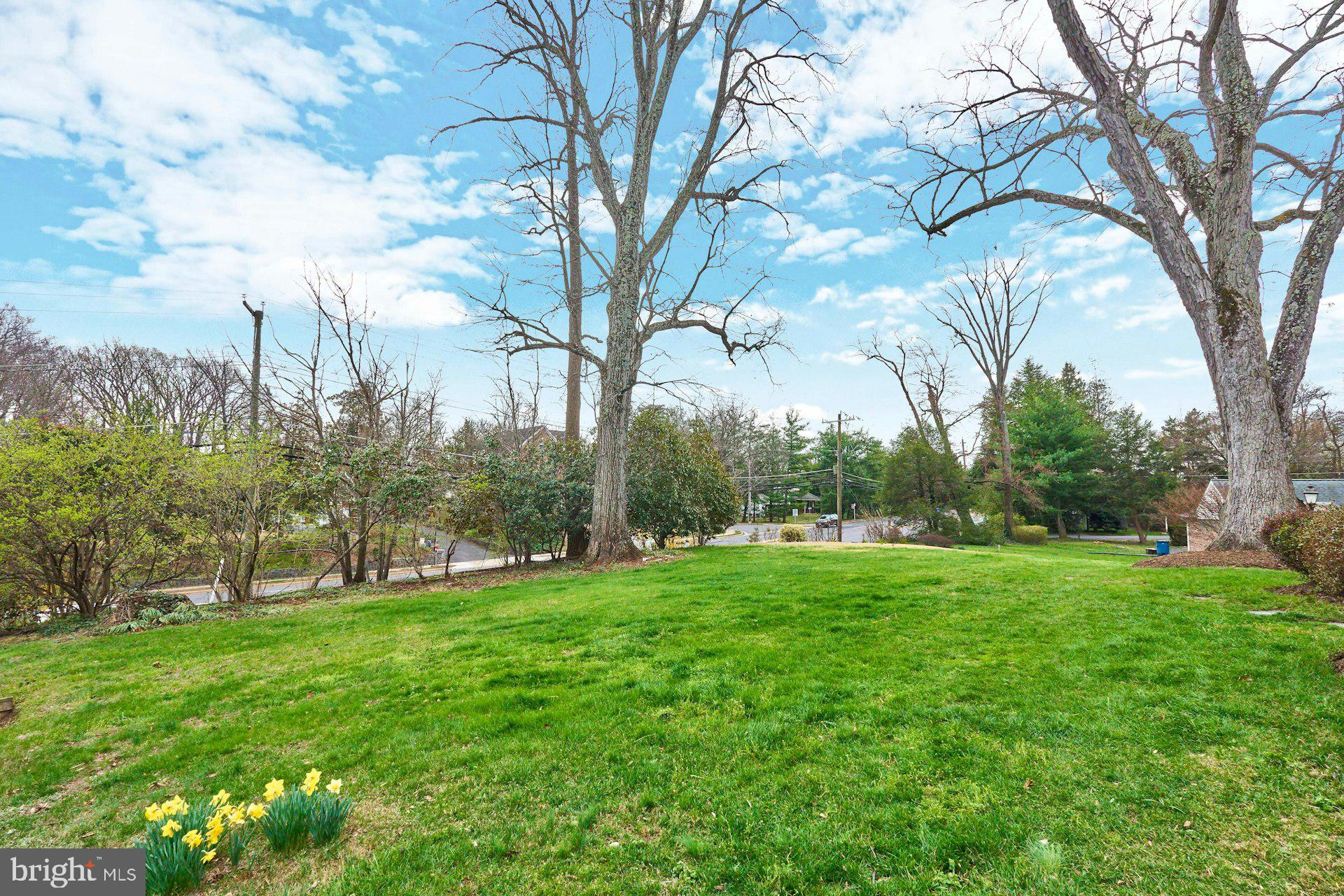 6586 Braddock Road Alexandria, VA 22312 - Photo 54 of 57 Large lot