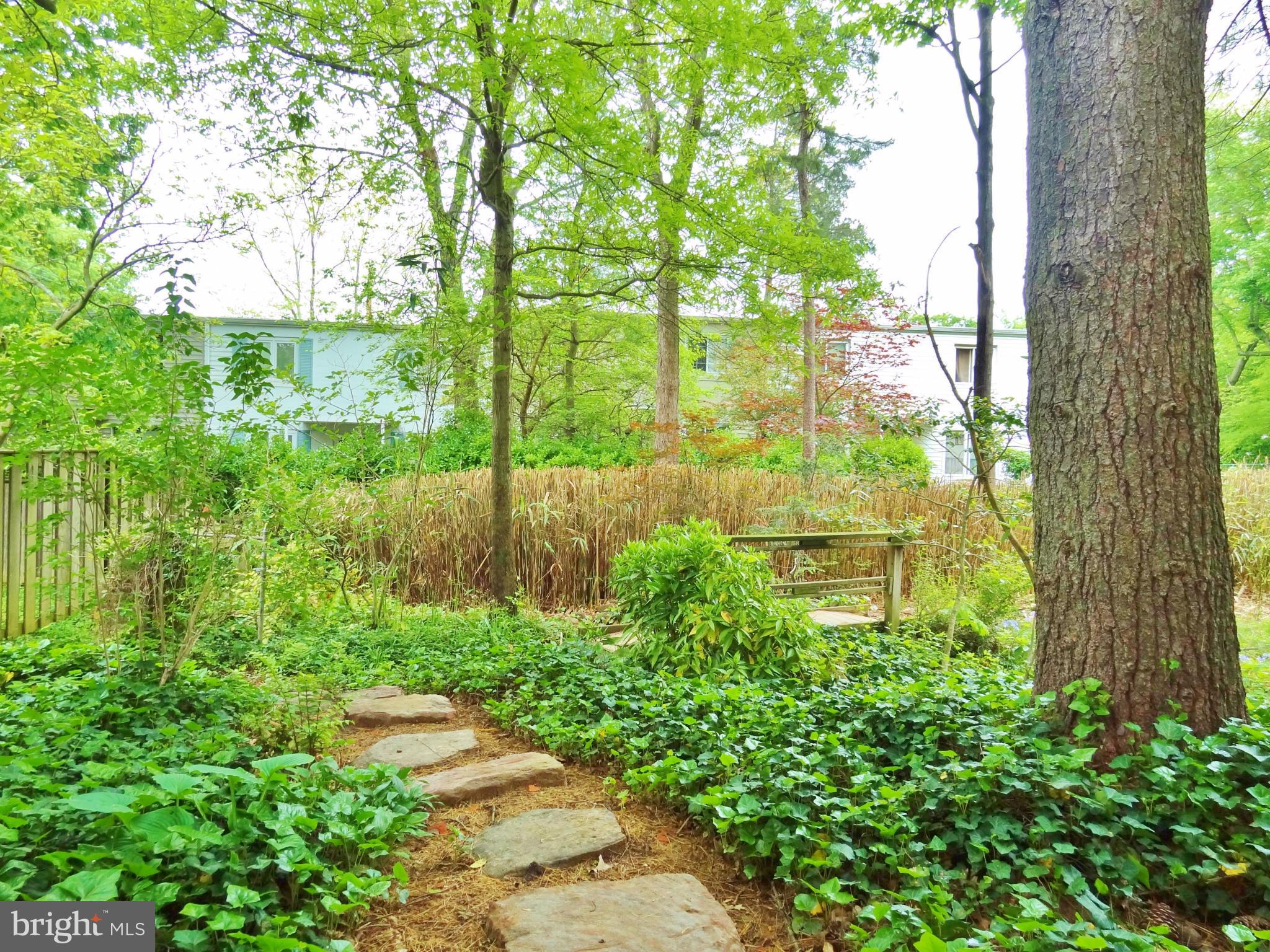 17 Ridge Road, Unit G Greenbelt, MD 20770 - Photo 13 of 16 Stone path & garden bridge in backyard