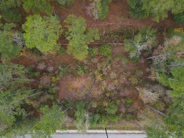 $120,000 | 0 Foster Drive, Conroe, TX 77301