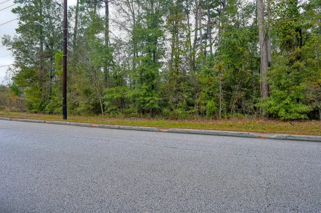 $120,000 | 0 Foster Drive, Conroe, TX 77301