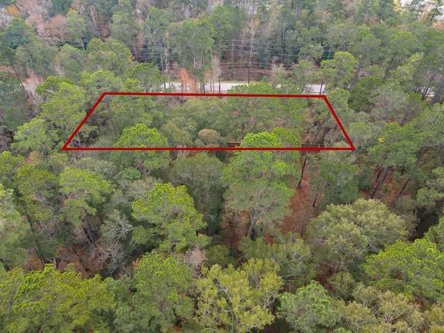 $120,000 | 0 Foster Drive, Conroe, TX 77301