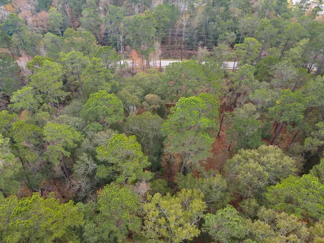 $120,000 | 0 Foster Drive, Conroe, TX 77301