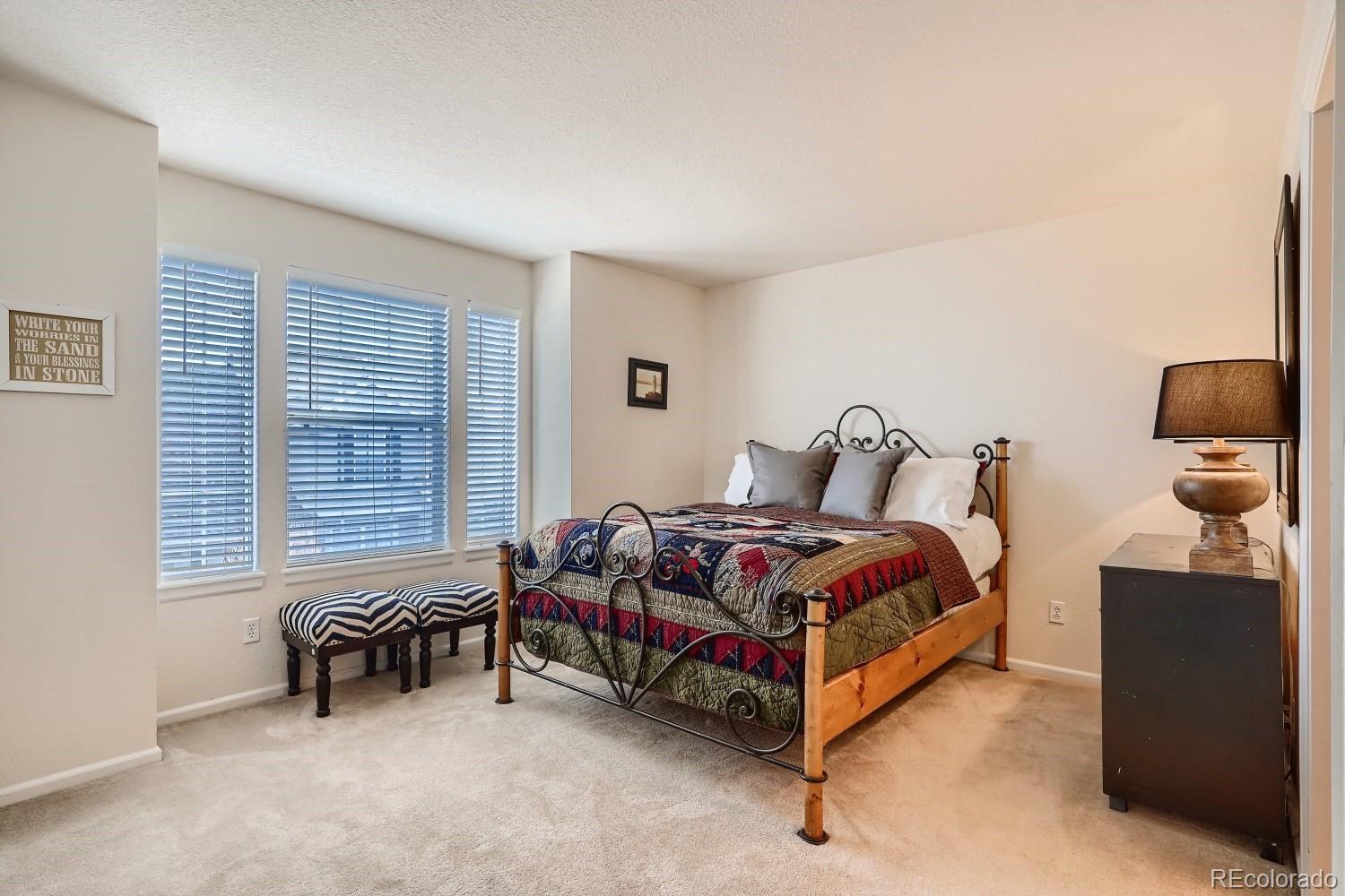6116 Trailhead Road Highlands Ranch, CO 80130 - Photo 8 of 11