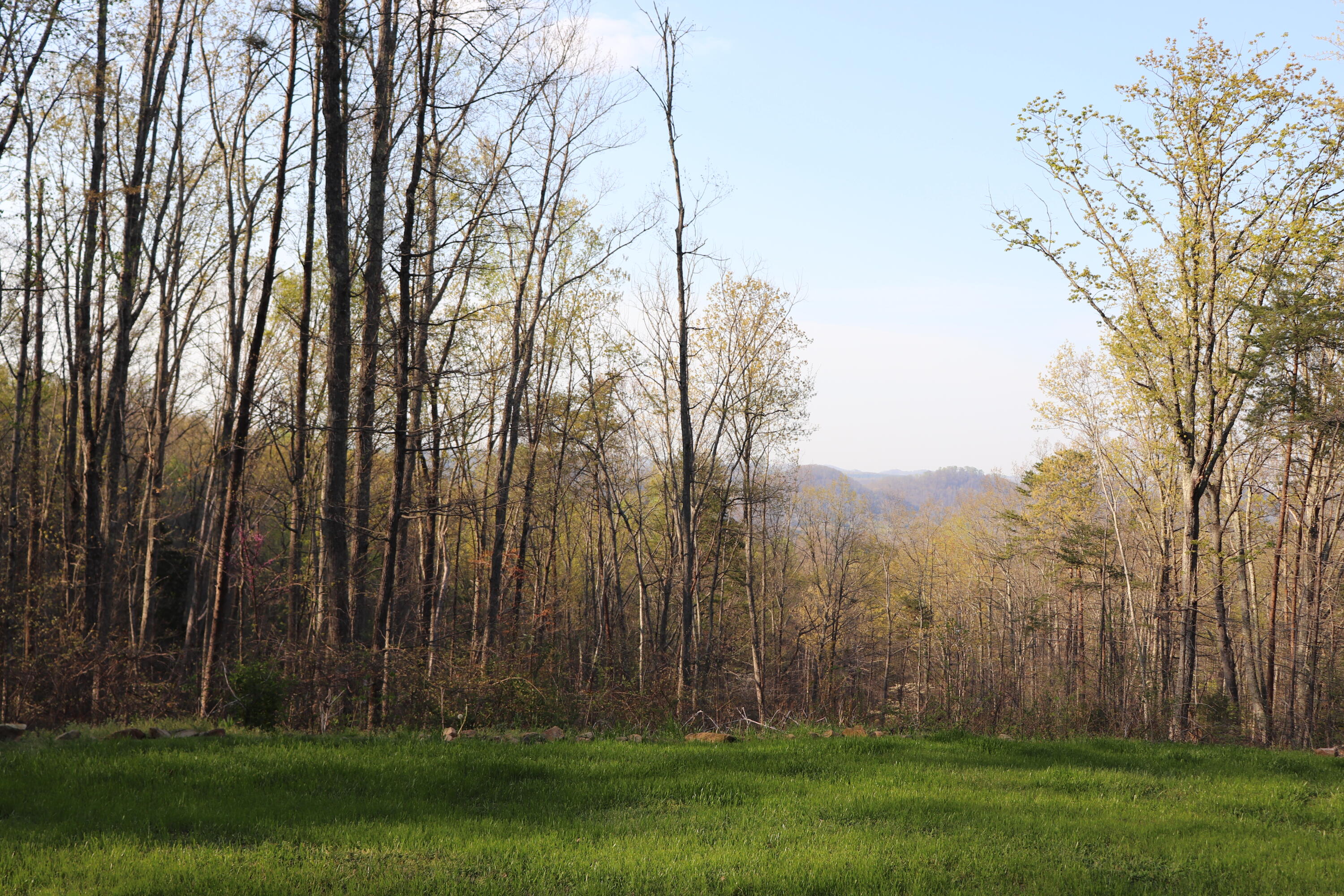 191 Forest Service Road Englewood, TN 37329 - Photo 14 of 23 IMG_1905