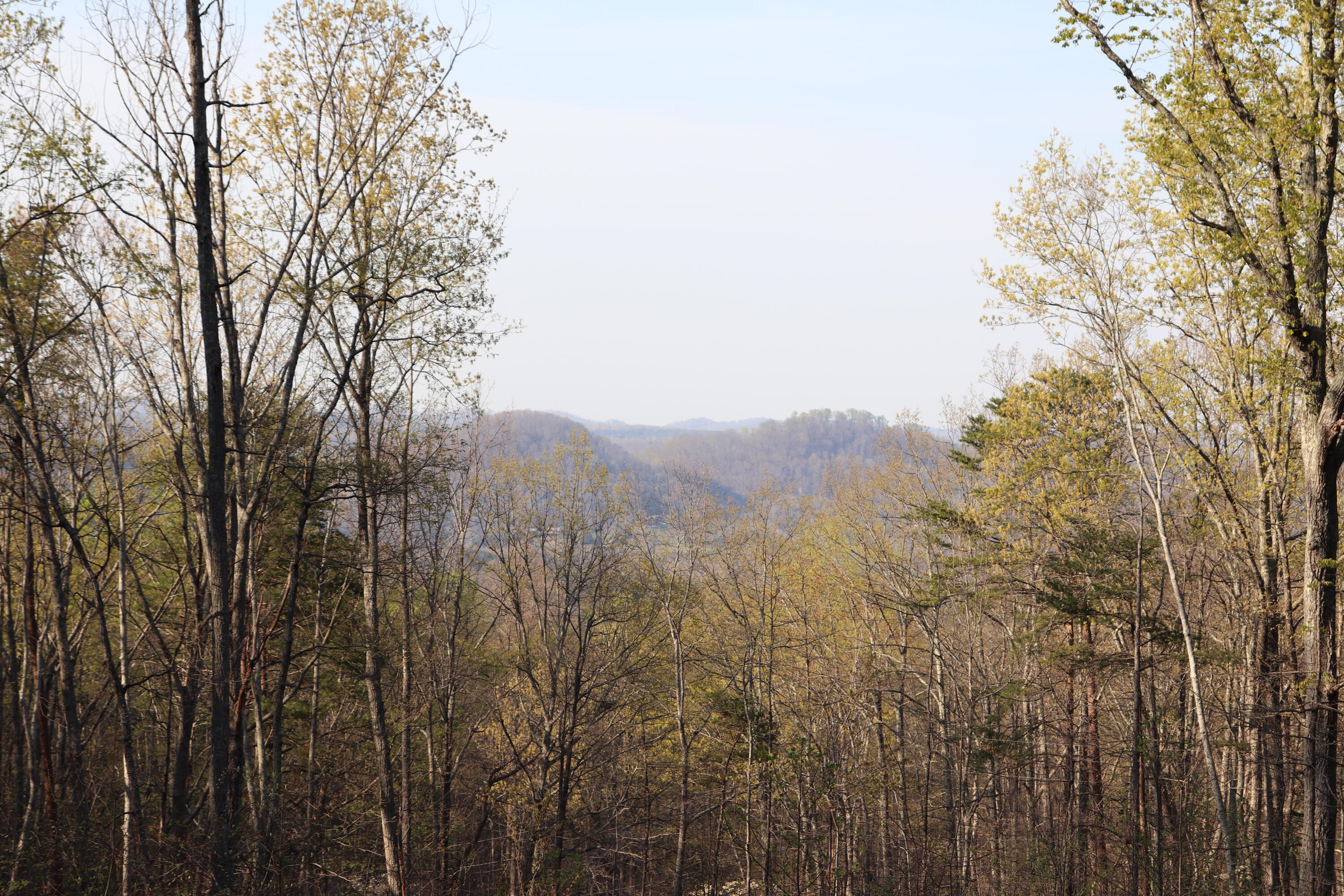 191 Forest Service Road Englewood, TN 37329 - Photo 15 of 23 IMG_1906