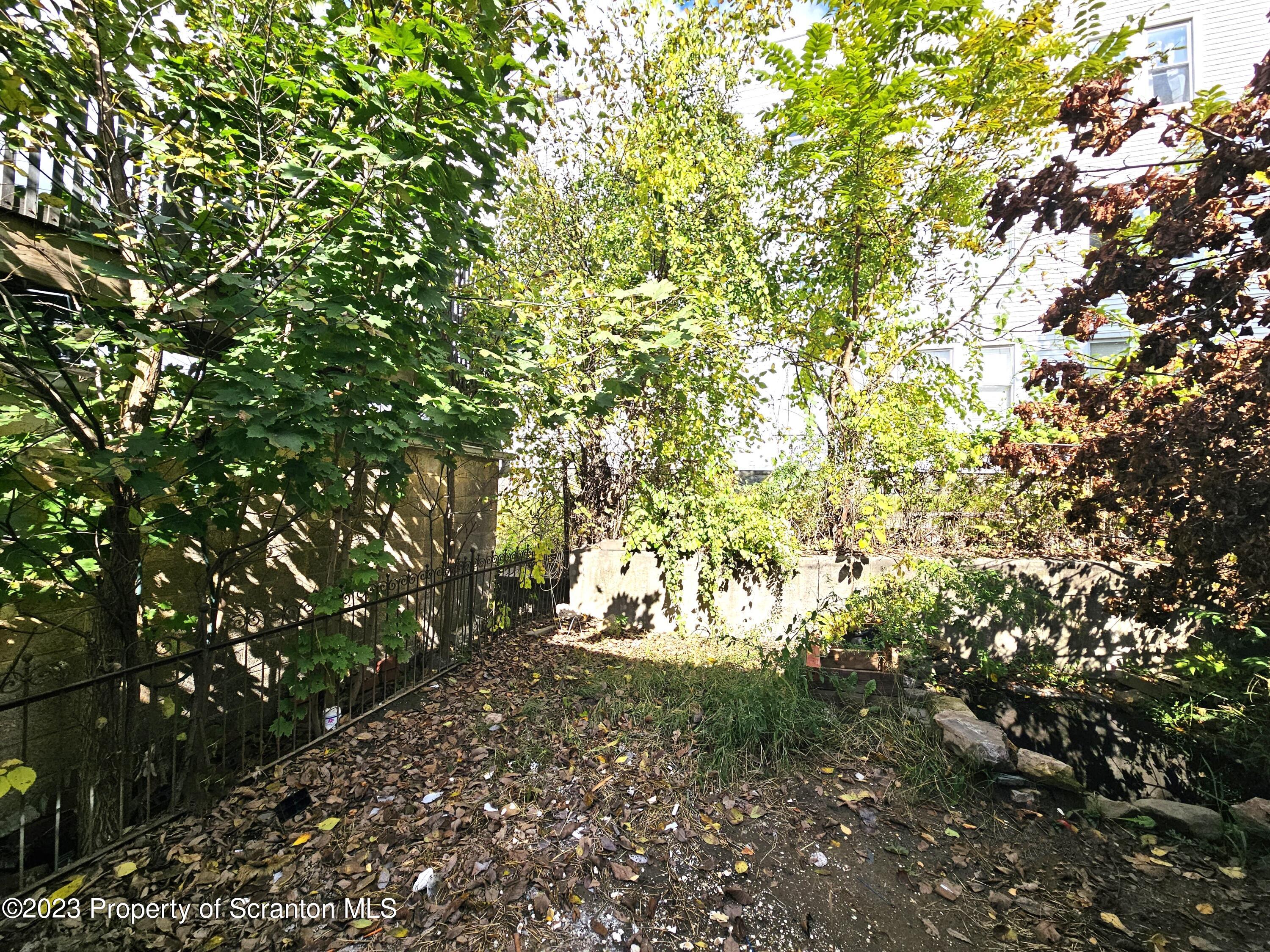 907 Green Ridge Street Scranton, PA 18509 - Photo 12 of 12 a picture of tree