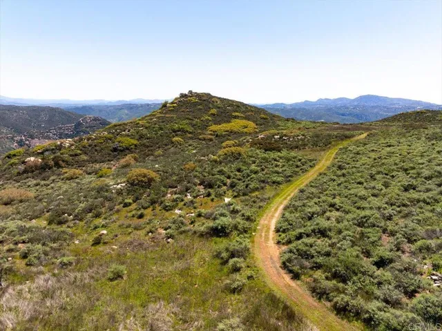 a view of a lush green field with lots of bushes
