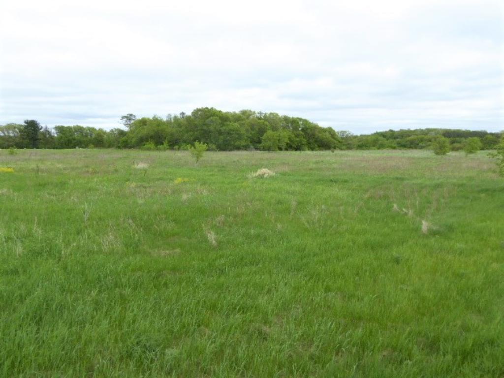 Lot 31 153rd Street Star Prairie, WI 54026 - Photo 1 of 1 Gallery Image 1