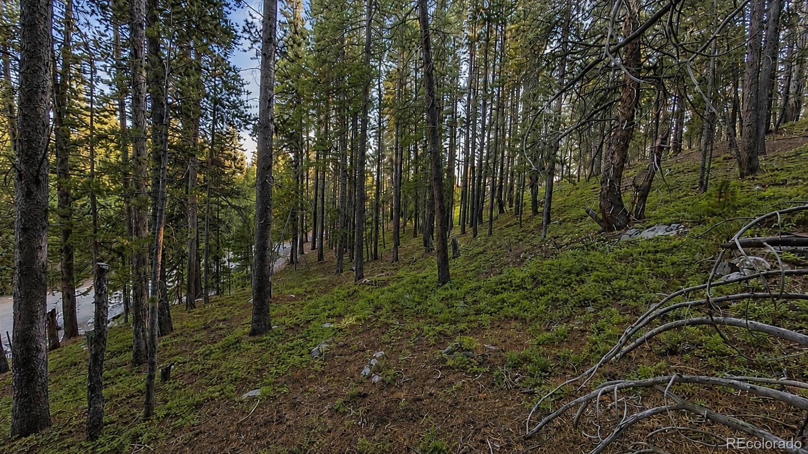 0 Steuart Road Idaho Springs, CO 80452 - Photo 9 of 19 Gallery Image 9