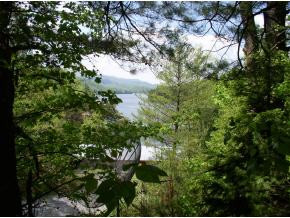 476 Cove Ridge Road Butler, TN 37640 - Photo 8 of 9 Photo 8